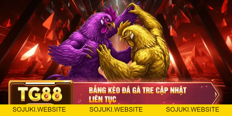 Đá Gà Tre – Trận Đấu Đầy Kịch Tính Với Những Chiến Kê Tinh Nhuệ