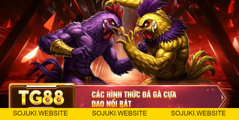 Đá Gà Cựa Dao – Trận Đấu Kịch Tính Với Những Pha Ra Đòn Hiểm Hóc
