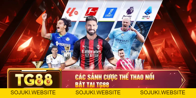 Thể Thao TG88 – Trải Nghiệm Đỉnh Cao Cùng Tỷ Lệ Thưởng Hấp Dẫn