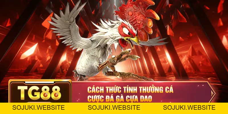 Đá Gà Cựa Dao – Trận Đấu Kịch Tính Với Những Pha Ra Đòn Hiểm Hóc