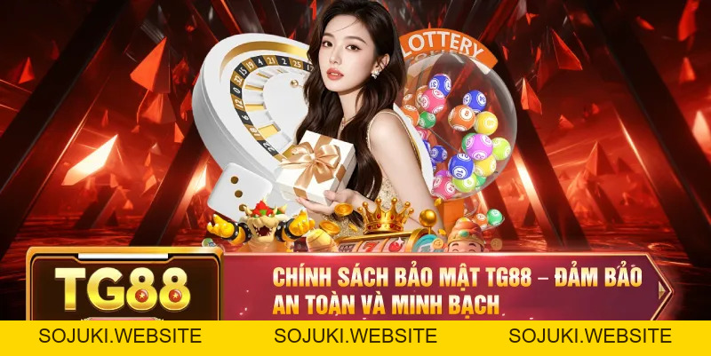 Chính Sách Bảo Mật TG88 – Đảm Bảo An Toàn Cá Cược Và Giải Trí