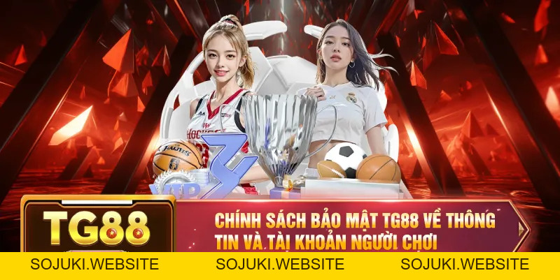 Chính Sách Bảo Mật TG88 – Đảm Bảo An Toàn Cá Cược Và Giải Trí