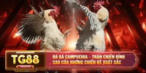 TG88 | Nhà Cái Uy Tín #1 Châu Á - Thể Thao, Casino, Nổ Hũ Đổi Thưởng 2026