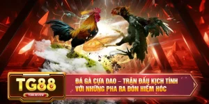 TG88 | Nhà Cái Uy Tín #1 Châu Á - Thể Thao, Casino, Nổ Hũ Đổi Thưởng 2026