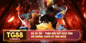 TG88 | Nhà Cái Uy Tín #1 Châu Á - Thể Thao, Casino, Nổ Hũ Đổi Thưởng 2026