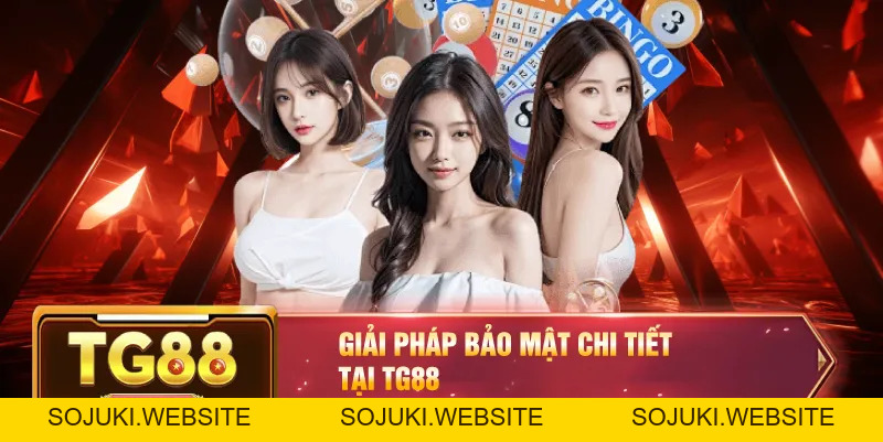 Chính Sách Bảo Mật TG88 – Đảm Bảo An Toàn Cá Cược Và Giải Trí