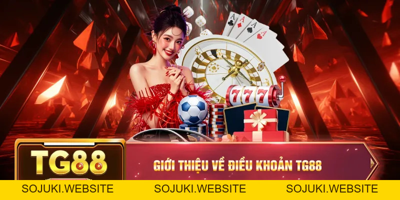 Điều khoản điều kiện TG88 – Quyền Lợi Và Trách Nhiệm Của Người Chơi