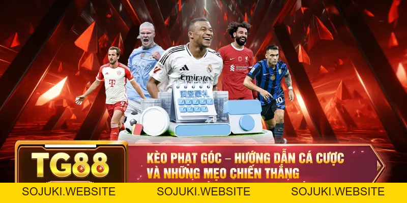 Thể Thao TG88 – Trải Nghiệm Đỉnh Cao Cùng Tỷ Lệ Thưởng Hấp Dẫn