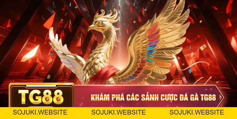 Đá Gà TG88 – Đỉnh Cao Chọi Kê Cho Người Đam Mê Cá Cược