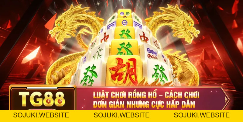 Luật Chơi Rồng Hổ TG88 – Hướng Dẫn Từ A Đến Z Cho Người Mới