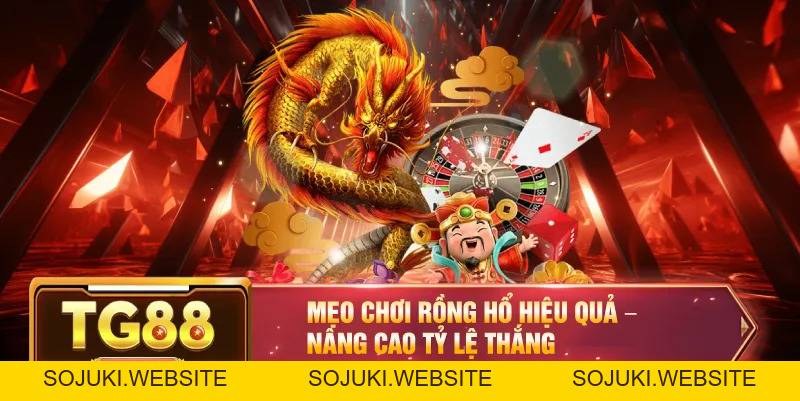 Luật Chơi Rồng Hổ TG88 – Hướng Dẫn Từ A Đến Z Cho Người Mới