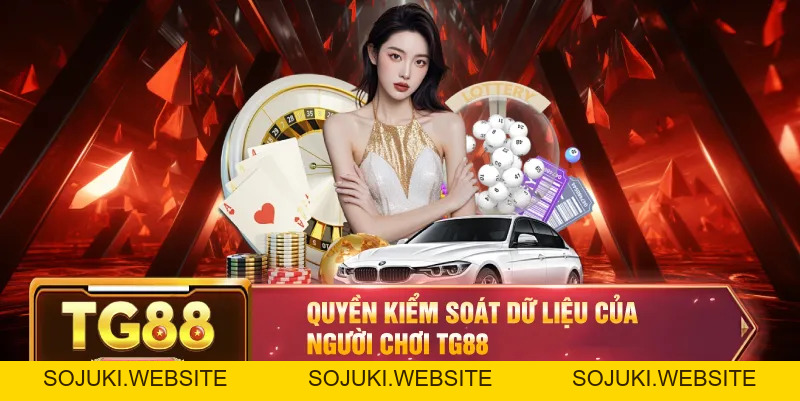 Quyền Riêng Tư TG88 – Chính Sách Bảo Mật Người Chơi Toàn Diện
