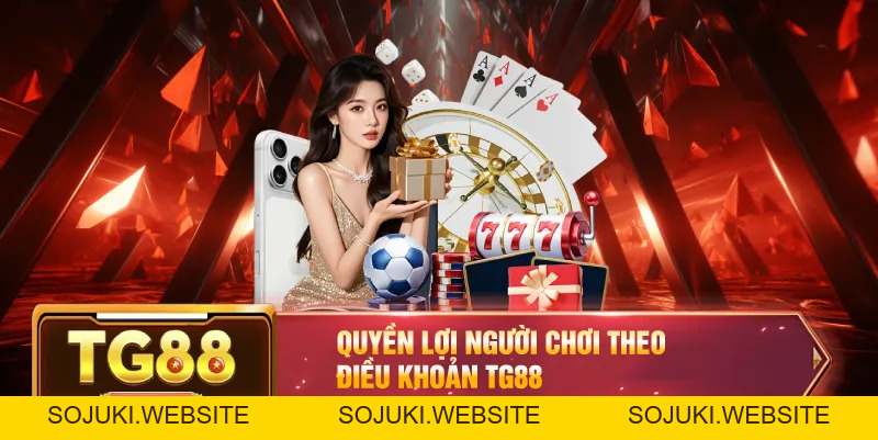 Điều khoản điều kiện TG88 – Quyền Lợi Và Trách Nhiệm Của Người Chơi