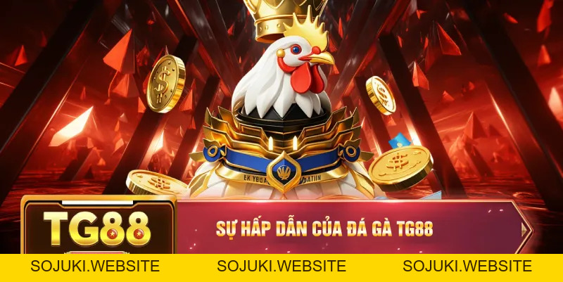 Đá Gà TG88 – Đỉnh Cao Chọi Kê Cho Người Đam Mê Cá Cược