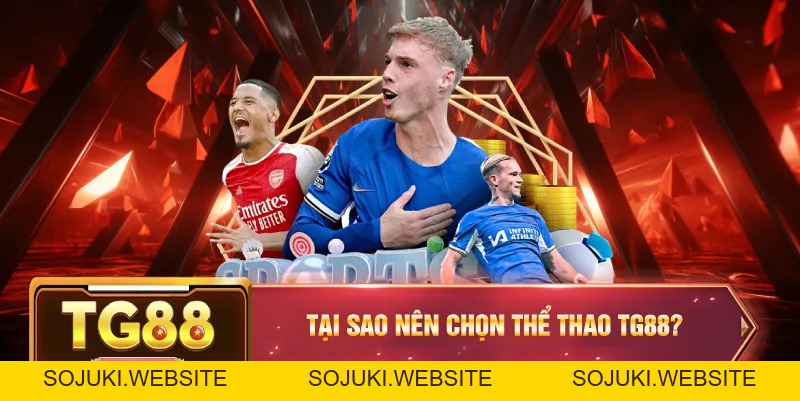 Thể Thao TG88 – Trải Nghiệm Đỉnh Cao Cùng Tỷ Lệ Thưởng Hấp Dẫn