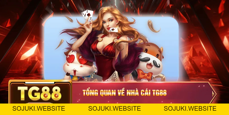Hướng dẫn TG88 giúp người mới cá cược an toàn