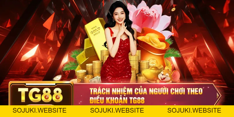 Điều khoản điều kiện TG88 – Quyền Lợi Và Trách Nhiệm Của Người Chơi